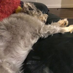 Meet your Posher, Reuben